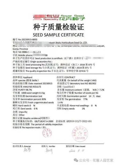 打造花园花海，承包2024一整年的浪漫 从种子开始