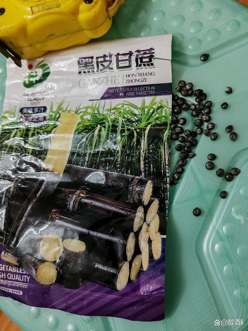 警惕假种子与假种苗 种植风险与应对策略